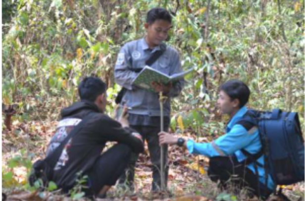 Dokumentasi Konservasi Suweg Endemik Cikampek